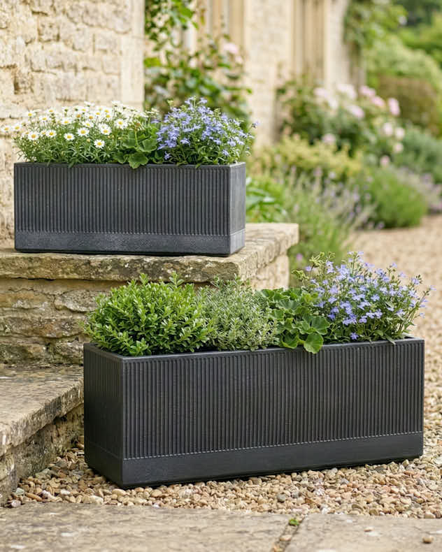 Mela Wide Black Planter Set of 2